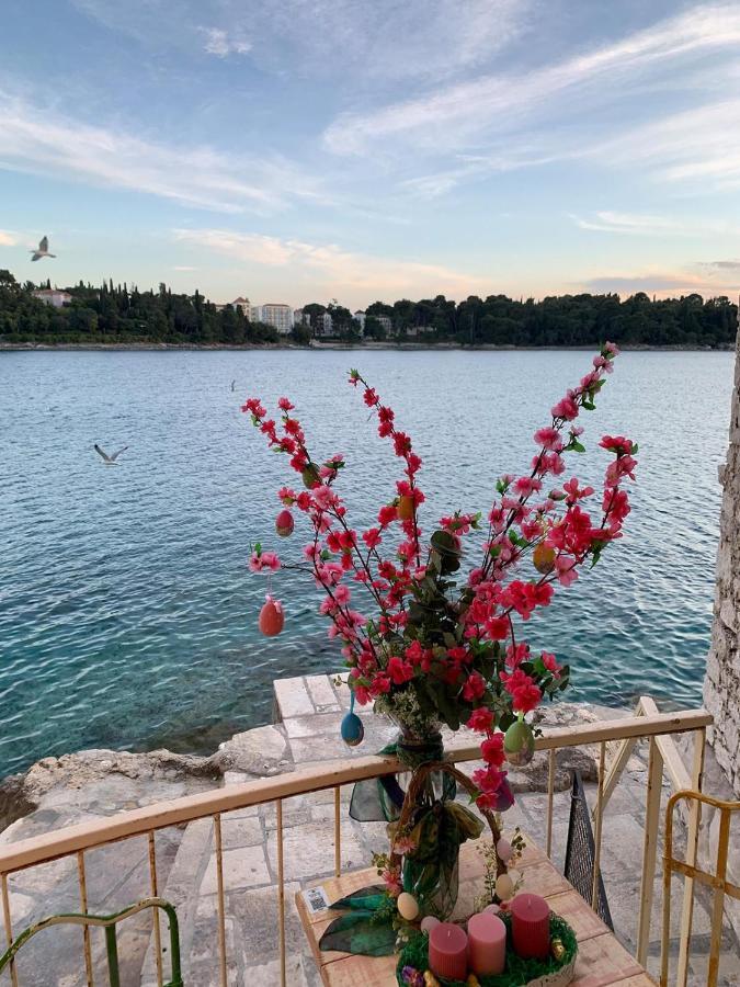 Villa Daniela Mit Pool In Bale, Bei Rovinj Fuer 4-6 Personen Zewnętrze zdjęcie